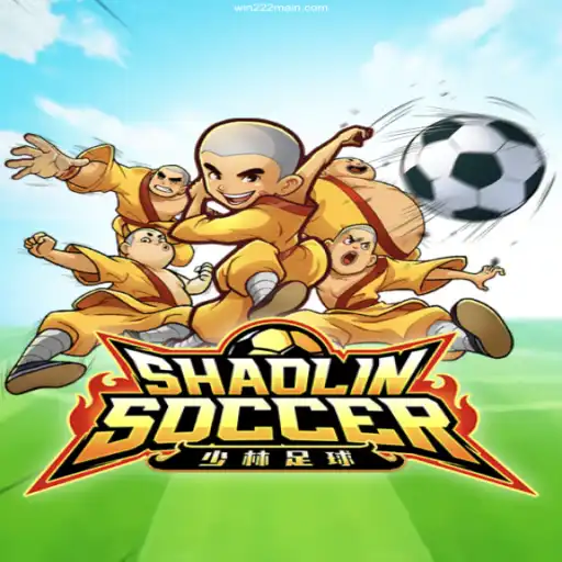 Shaolin Soccer: The Thrilling Game Experience
